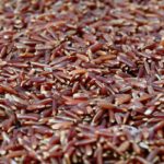 Roter Reis - Er gehört definitiv zu den 3 Top Reissorten