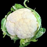 Blumenkohlrezepte