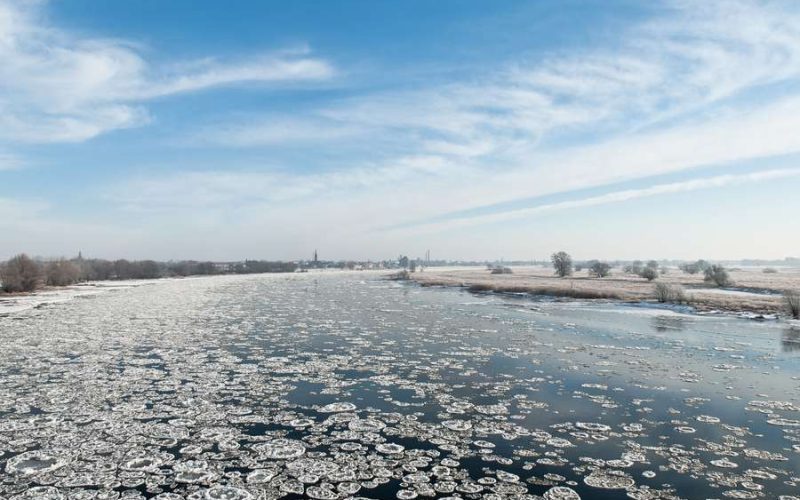 Das Pfannkucheneis entsteht im Winter, wenn salziges Meerwasser aus der Ostsee in die Elbe schwappt.